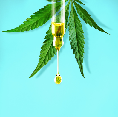 What is the difference between CBD and THC?