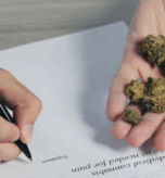Best Cannabis Card Benefits You Didn’t Know About