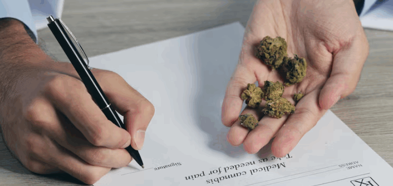 Best Cannabis Card Benefits You Didn’t Know About